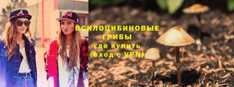 Псилоцибиновые грибы Magic Shrooms  Верхняя Тура 